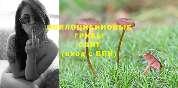мет Нефтегорск
