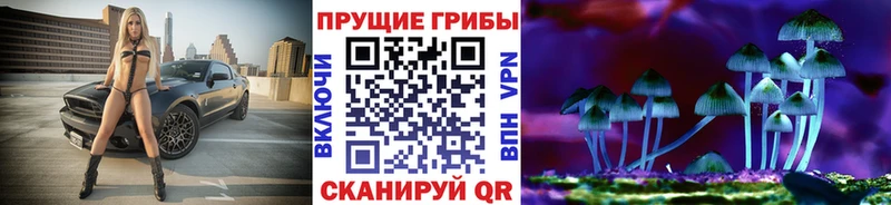 Галлюциногенные грибы Psilocybe  Нолинск 